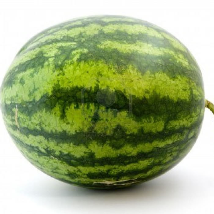 anguria anguria