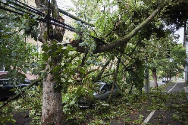 Violenta tempesta in Romania, 8 le vittime e 67 i feriti Violenta tempesta in Romania, 8 le vittime e 67 i feriti