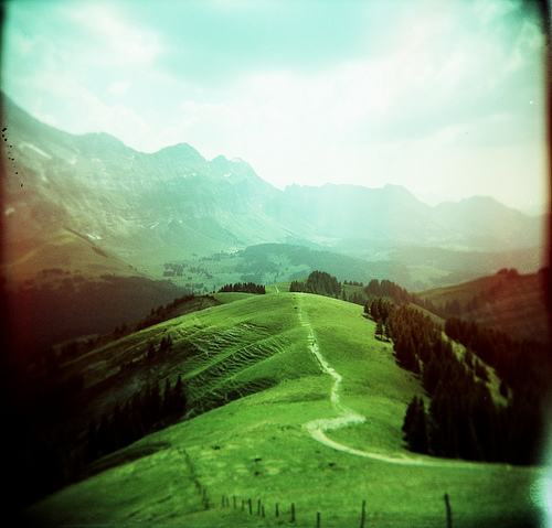 holga foto