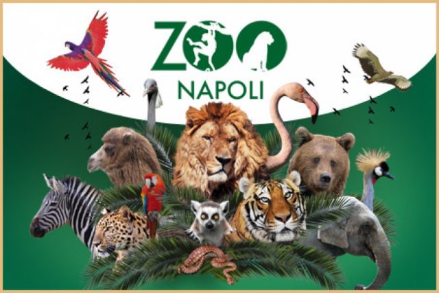 zoo di napoli