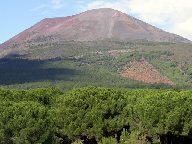 Parte il Grande Progetto Vesuvio, un'iniziativa dell’Ente Parco Nazionale del Vesuvio, per rilanciare l’area protetta-1 Parte il Grande Progetto Vesuvio, un'iniziativa dell’Ente Parco Nazionale del Vesuvio, per rilanciare l’area protetta-1