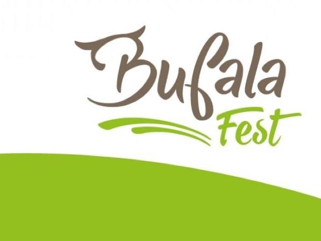 Bufala Fest 2017 la mozzarella di bufala campana DOP sale in cattedra-2 Bufala Fest 2017 la mozzarella di bufala campana DOP sale in cattedra-2