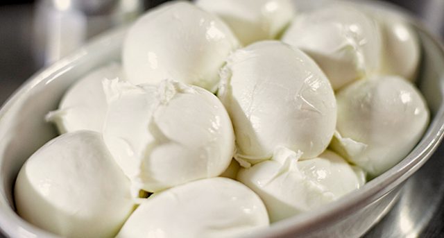 germania mozzarella germania mozzarella falsa scoperta in supermercati tedeschi