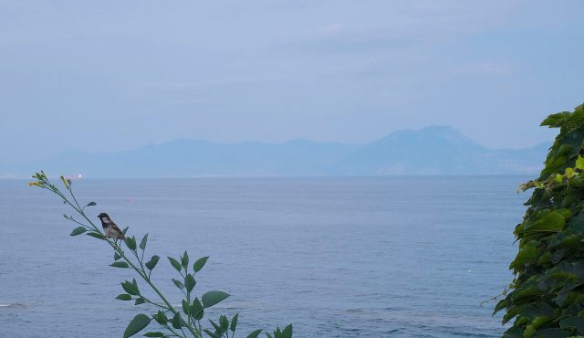mediterraneo mediterraneo